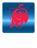 Jupiler Pro League